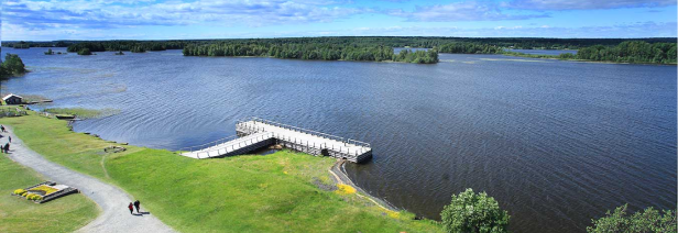 Хвойный Бор